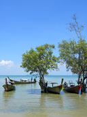 หาดไร่เลย์ หาดไร่เลย์ตะวันออก อ่าวไร่เลย์ตะวันออก อ.เมือง จ.กระบี่ 